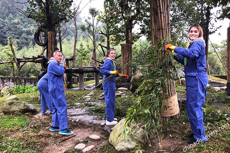 Interesting Panda Community & Reviews on TripAdvisor.com