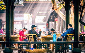 Chengdu & Lifetime Panda Volunteer Tour 