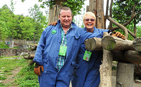 Dujiangyan Panda Volunteer Experience